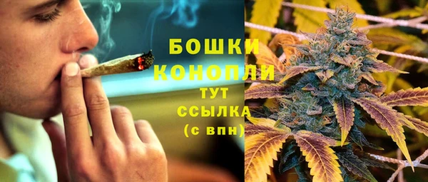 дурь Алексеевка