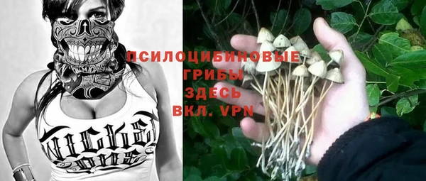 дурь Алексеевка