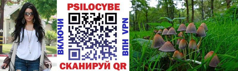 Псилоцибиновые грибы GOLDEN TEACHER  Добрянка 