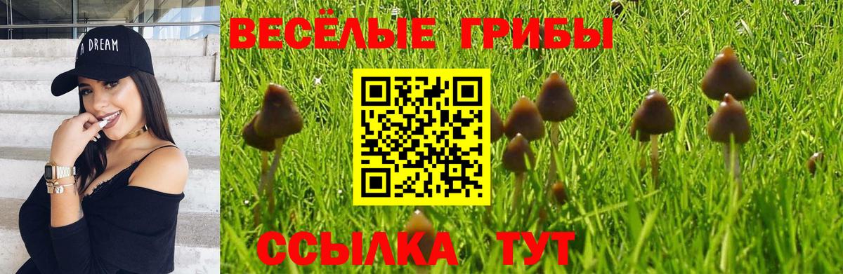Псилоцибиновые грибы MAGIC MUSHROOMS Добрянка