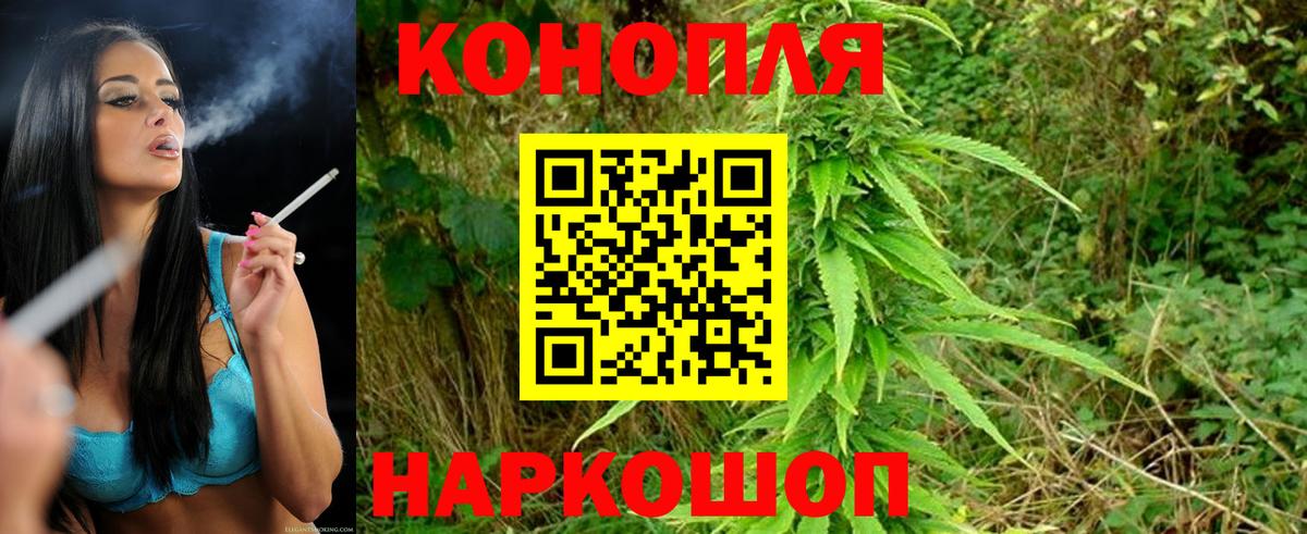 Конопля планчик  Вход с VPN  Бошки Шишки Ganja  Шишки марихуана планчик  Добрянка 